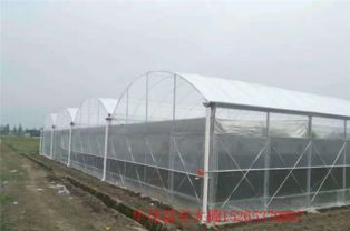 溫室大棚安裝全攻略 連棟大棚施工關(guān)鍵問題與專業(yè)服務(wù)解析