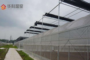 優(yōu)質(zhì)溫室大棚電動遮陽系統(tǒng)安裝流程詳解——華科溫室專業(yè)安裝服務(wù)