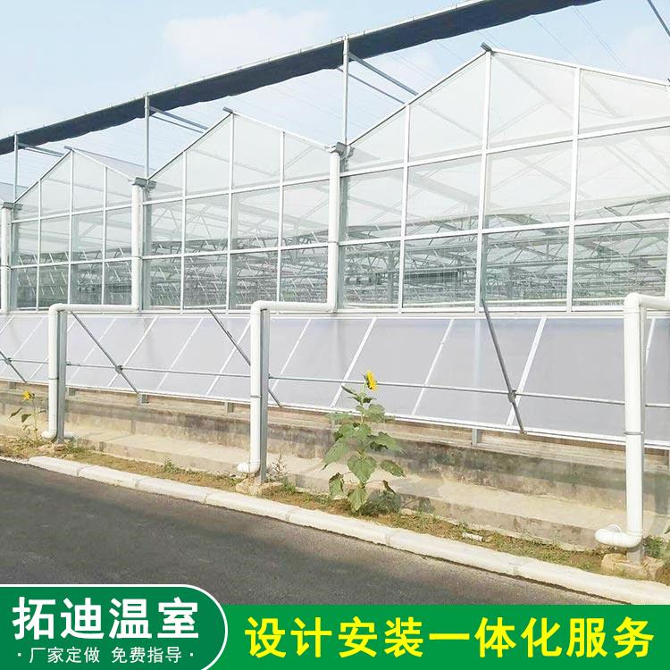 定制無限可能，高效高產的智能溫室——拓迪為您實現您的智慧農業夢想！